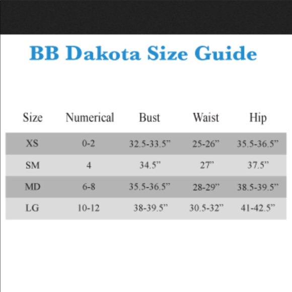 BB DAKOTA Cass Sequined Leopard-Print Mini Dress - Picture 4 of 4